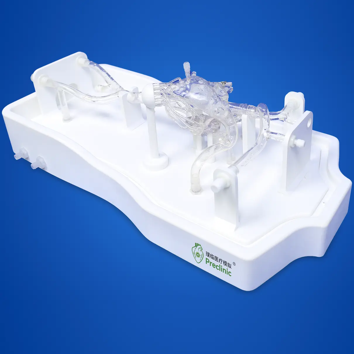 Transseptal Puncture Vessel Model - Type B