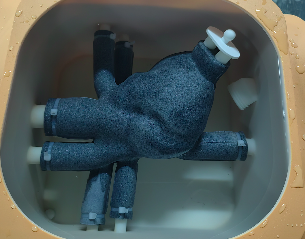 Ultrasound cardiac training model