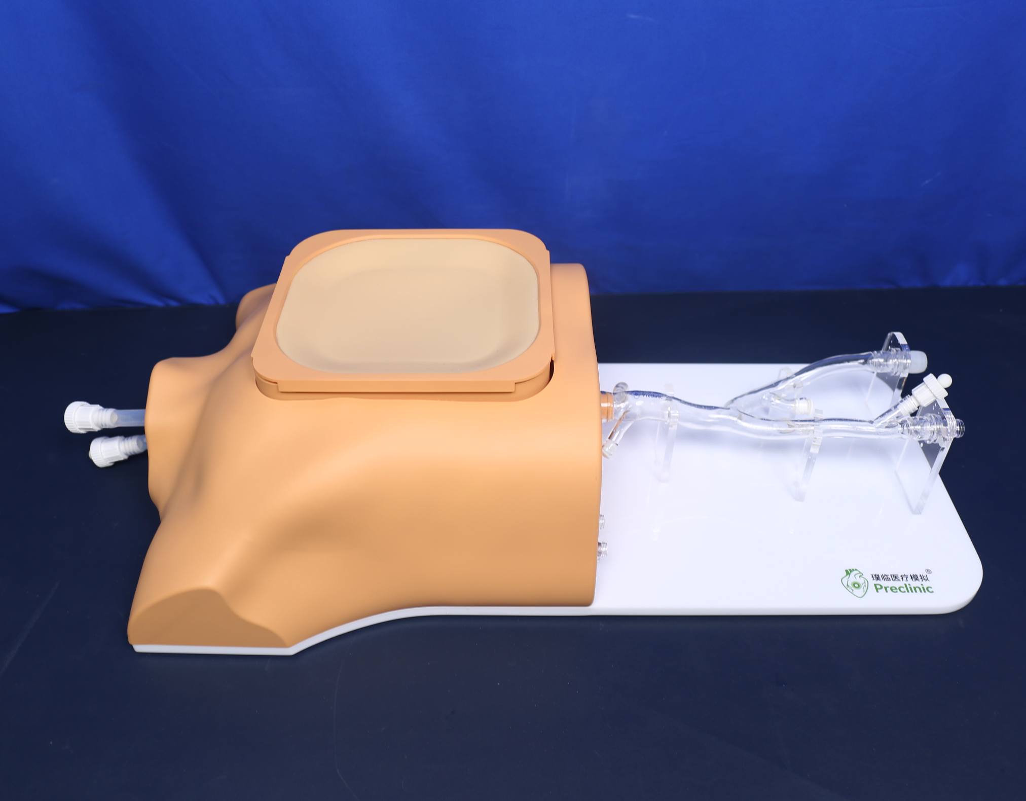 Ultrasound cardiac training model