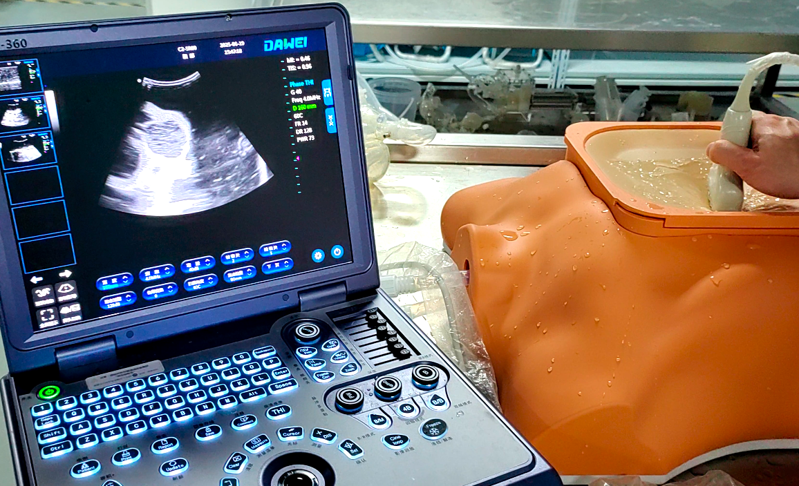 Ultrasound cardiac training model