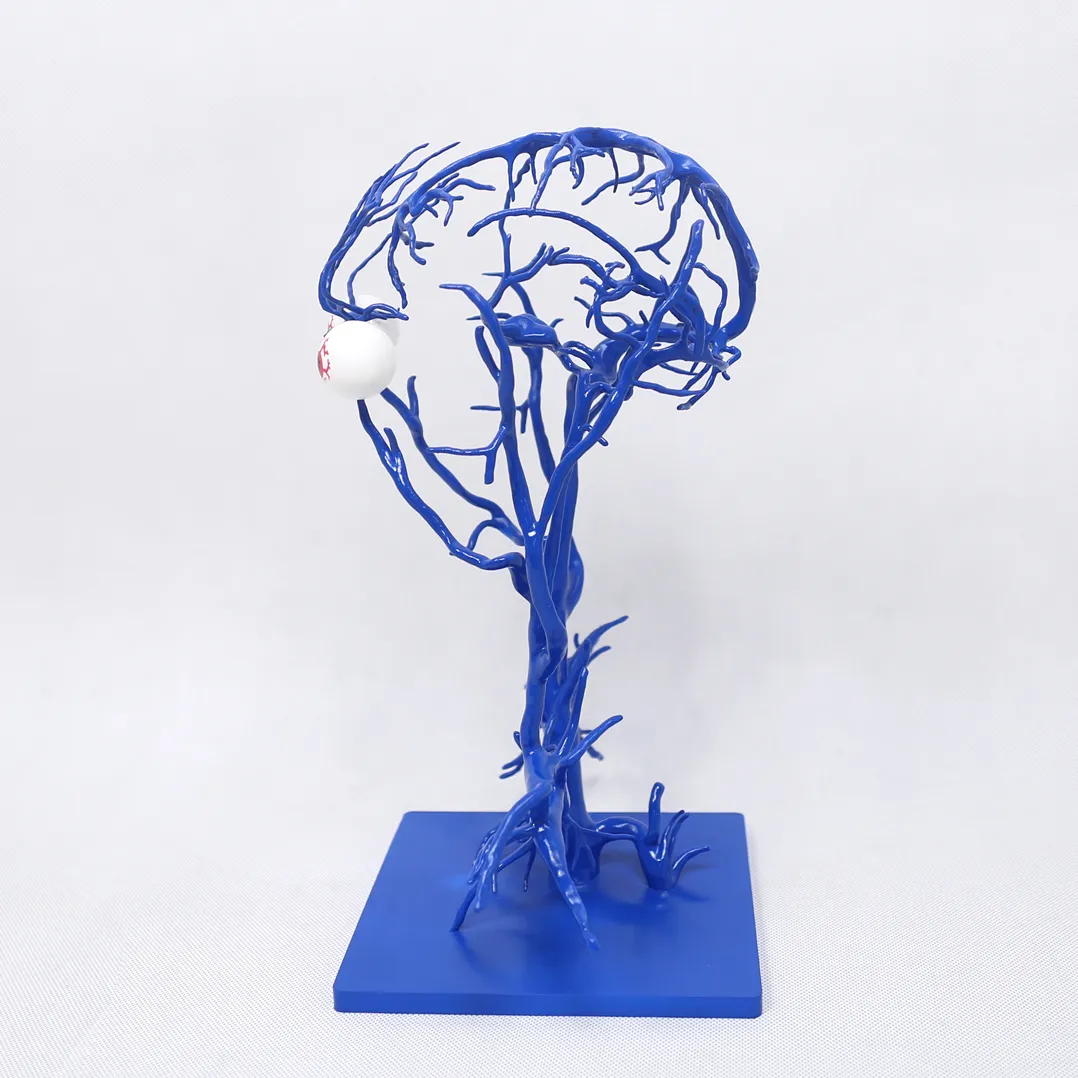 3d printed intracranial veins china