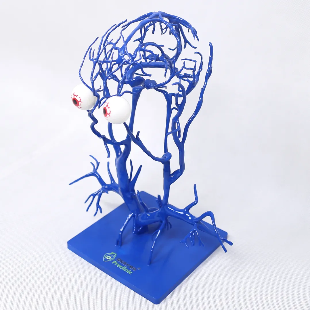 3d printed intracranial veins manufacturer