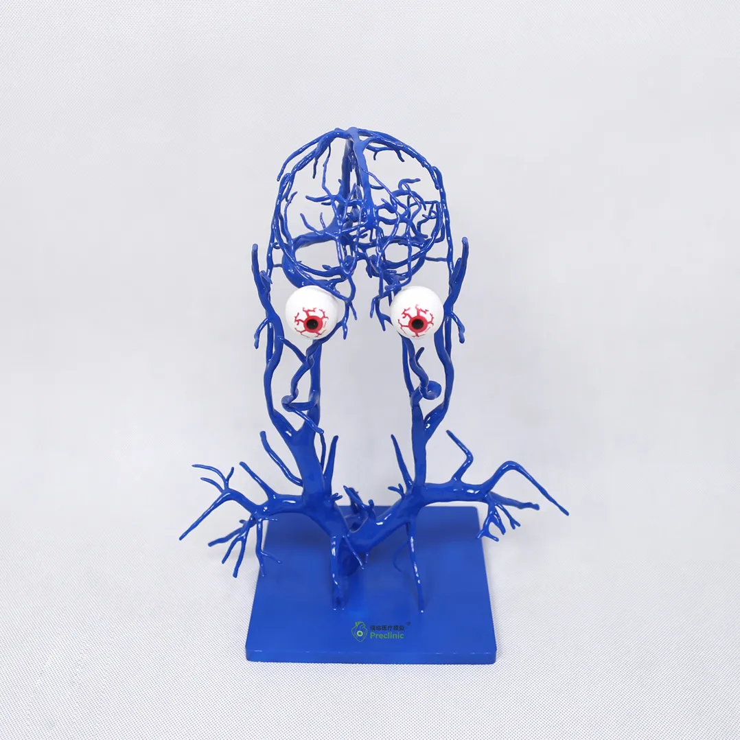 3d printed intracranial veins supplier