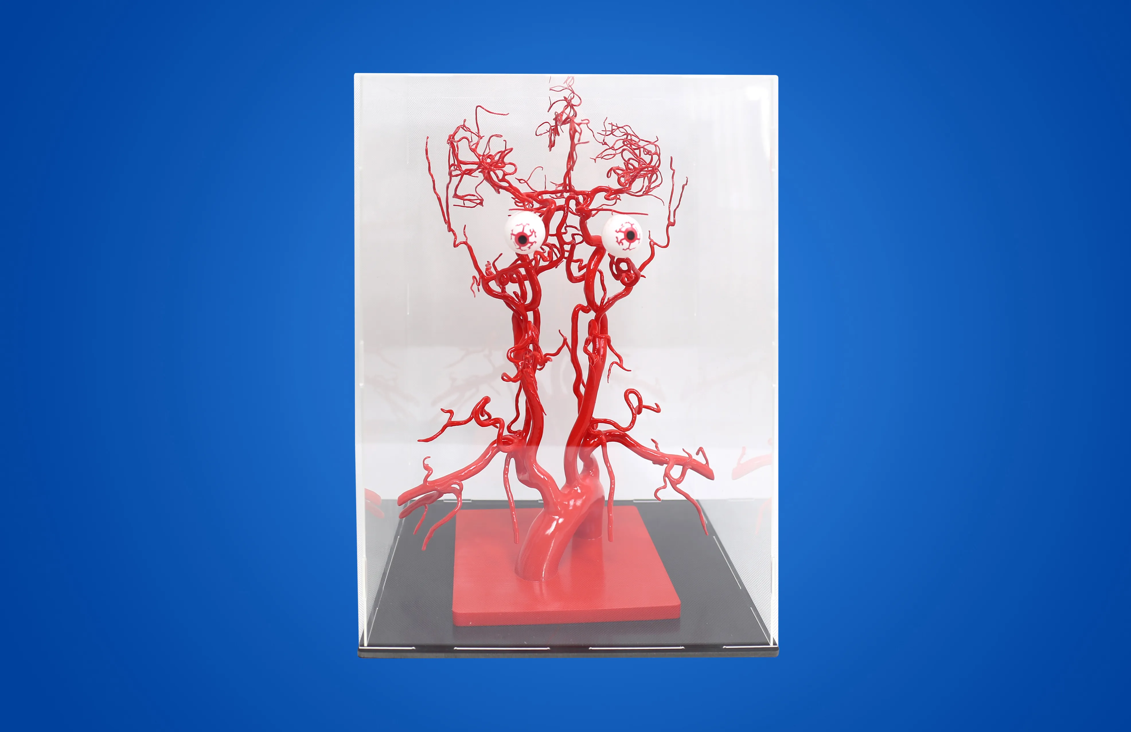Anatomical Model of Intracranial Arterial Vessels