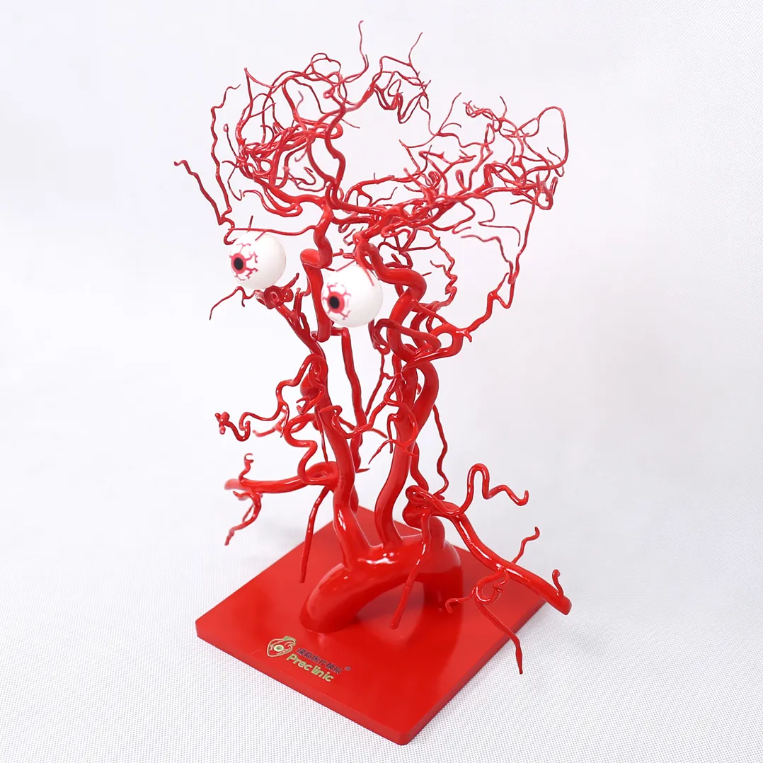 3d printing of intracranial arteries manufacturer