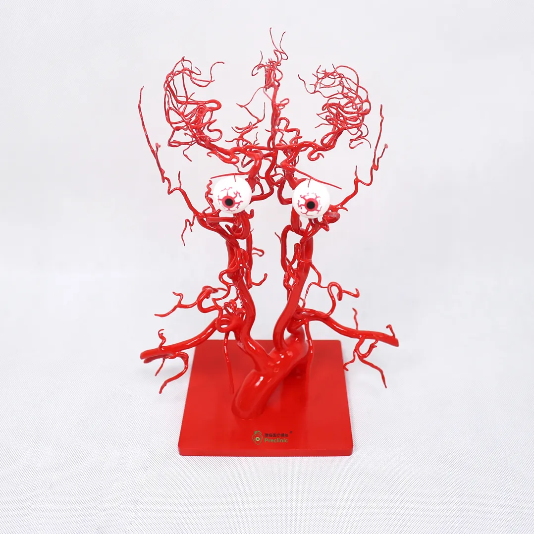 3d printing of intracranial arteries supplier