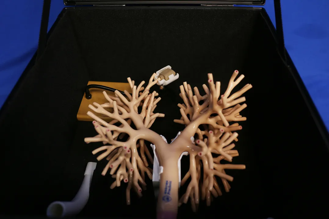 ebus gs training model china