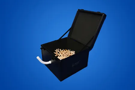 EBUS-GS Training Model