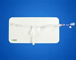 Anterior Cerebral Circulation Vessel Model