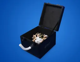 Endobronchial Therapy Training Model