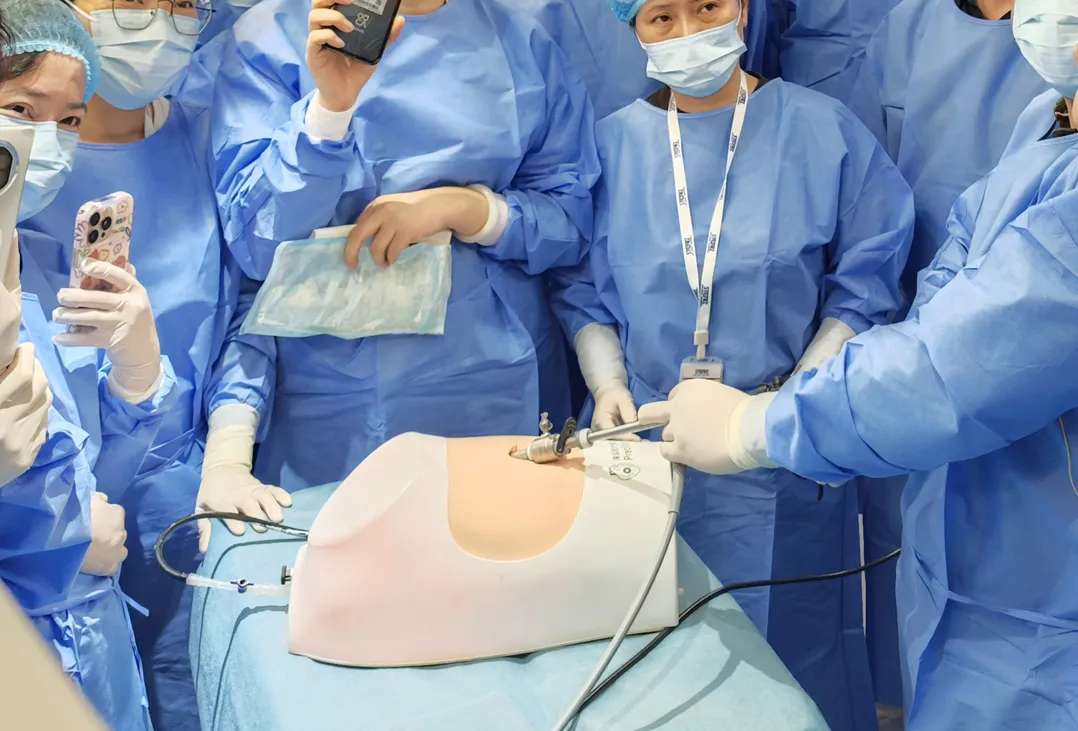 internal medicine thoracoscopic training model factory