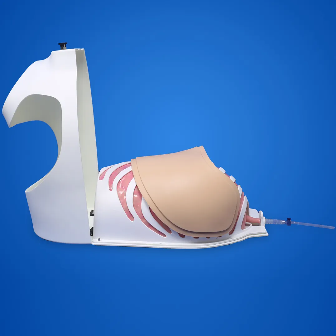internal medicine thoracoscopic training model supplier
