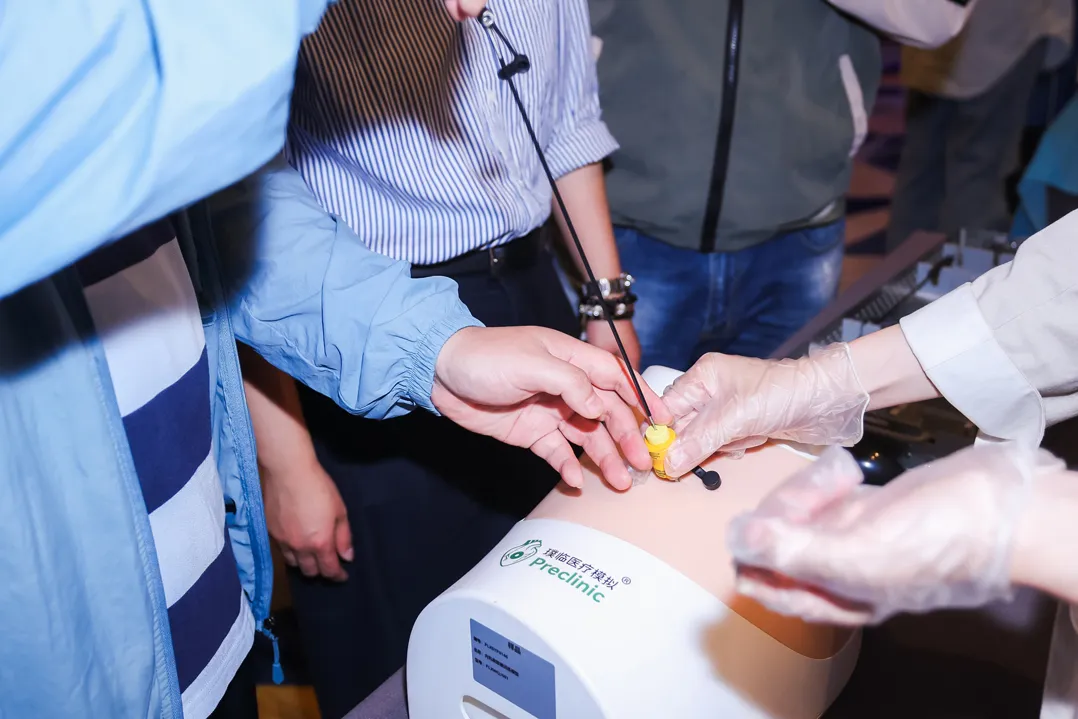 internal medicine thoracoscopic training model types