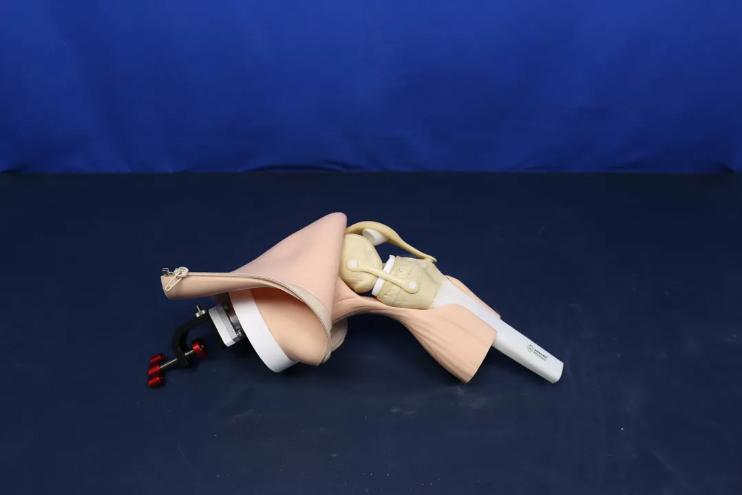 knee arthroscopy training model china