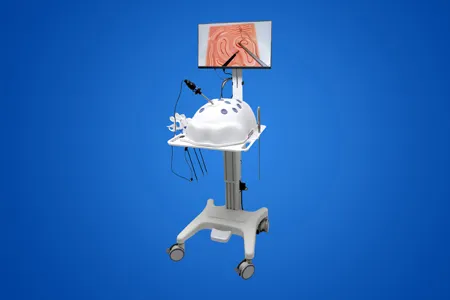 Laparoscopic Surgery Skill Training Simulator