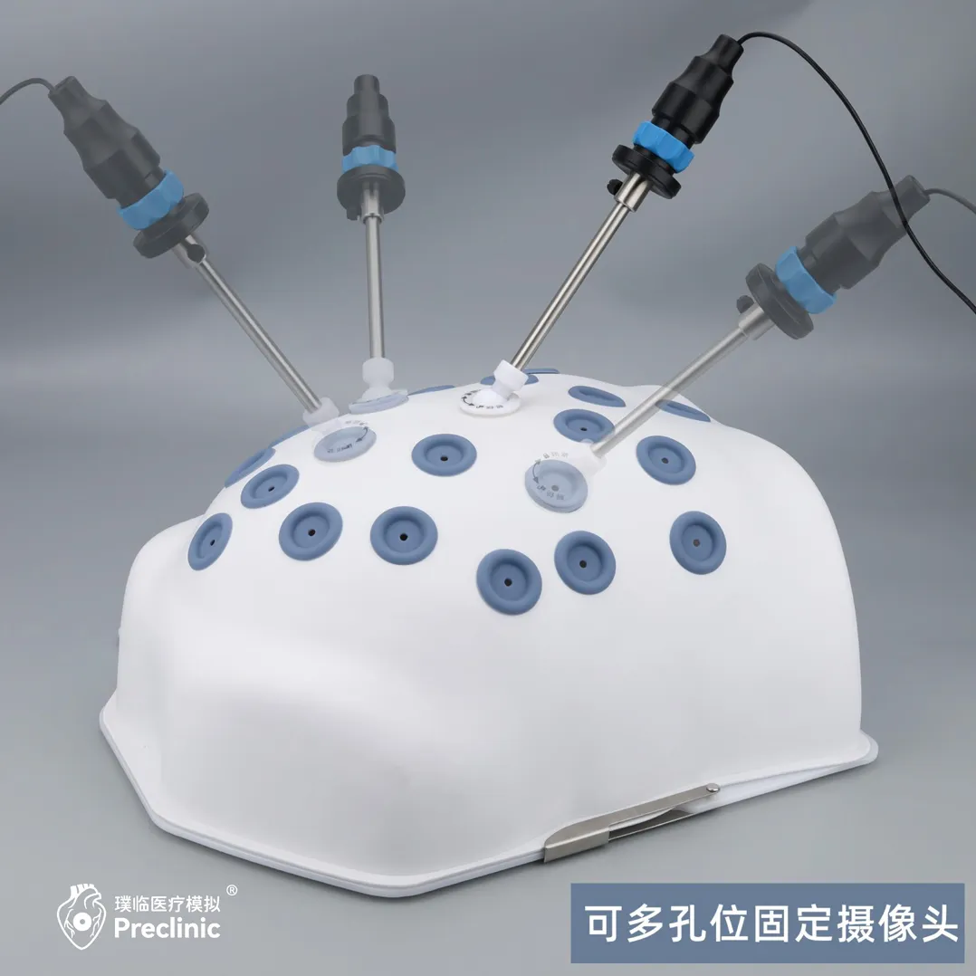 laparoscopic training model custom