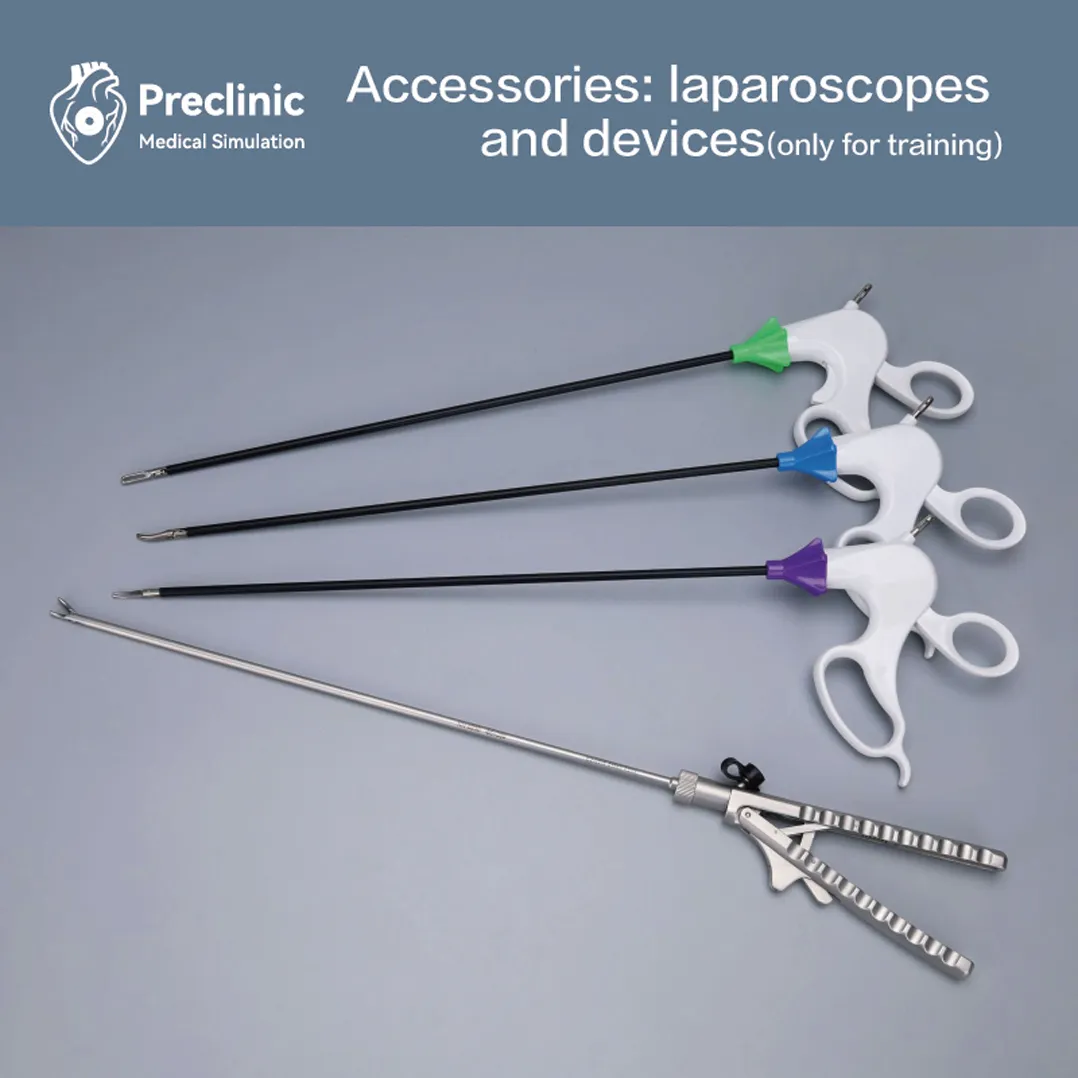laparoscopic training model supplier