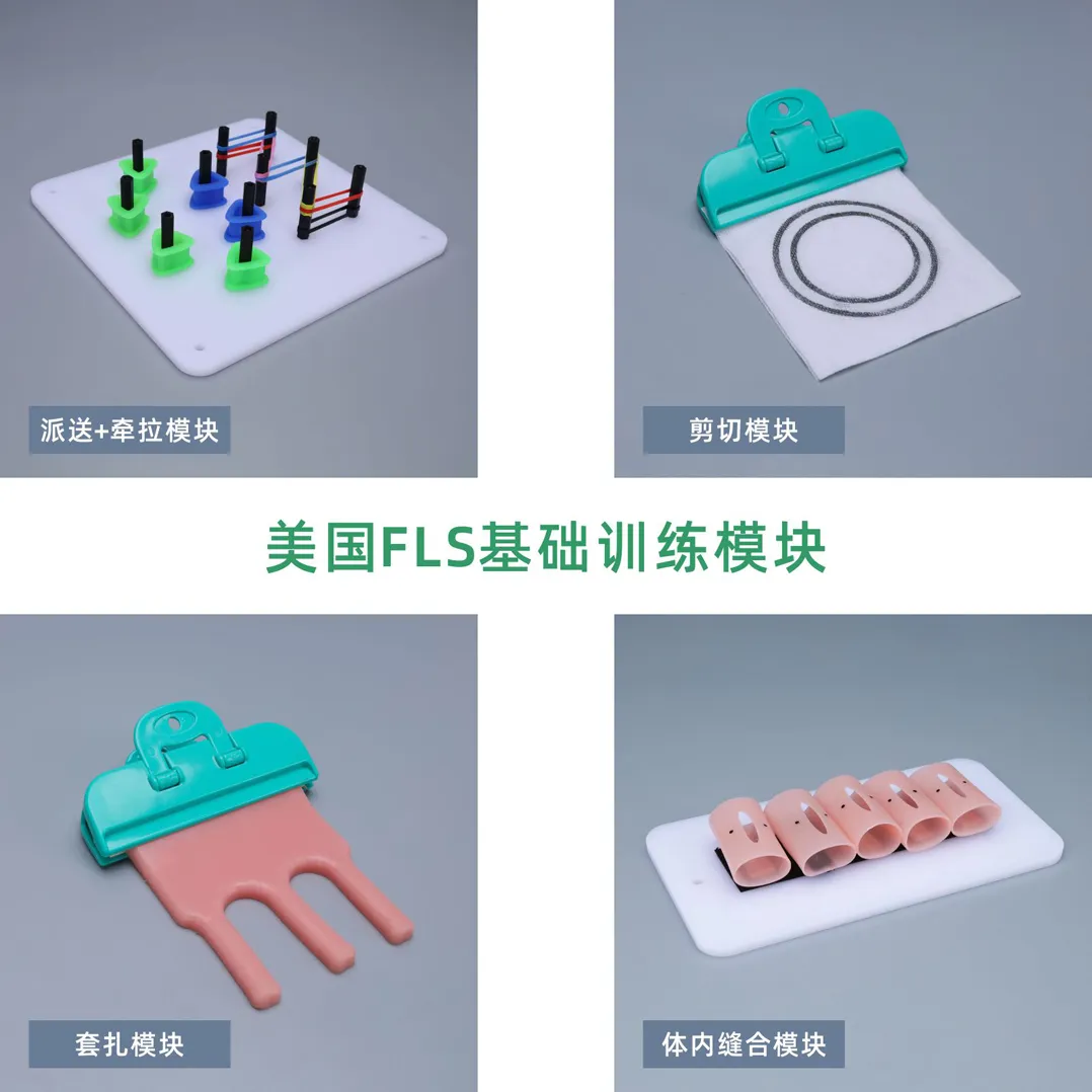 laparoscopic training model uses