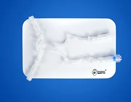 Posterior Cerebral Circulation Vessel Model