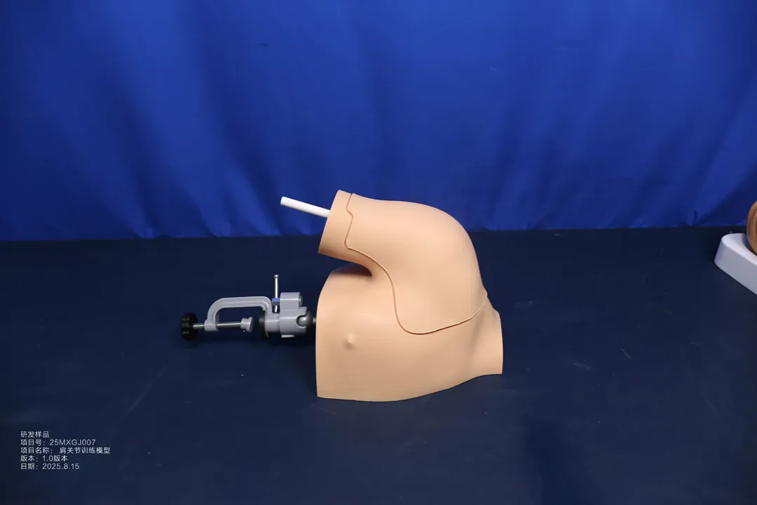 shoulder arthroscopy training model china