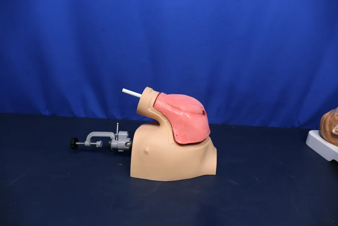 shoulder arthroscopy training model factory