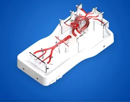 TAVR Simulation Model