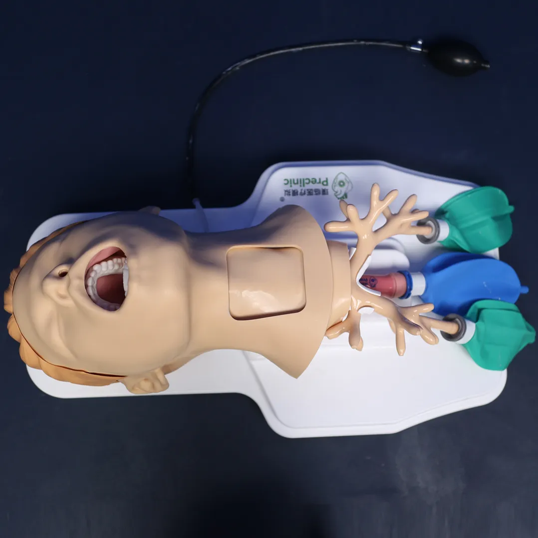 tracheotomy training model china