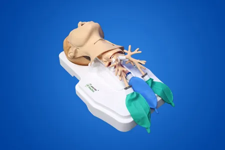 Tracheotomy Training Model