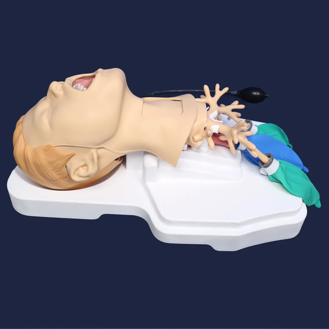 tracheotomy training model factory