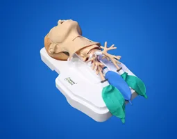 Tracheotomy Training Model