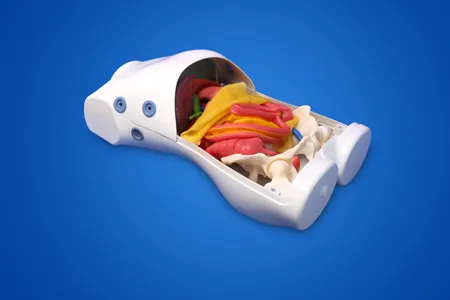 Training Model for Laparoscopic Surgery Robot - Type A