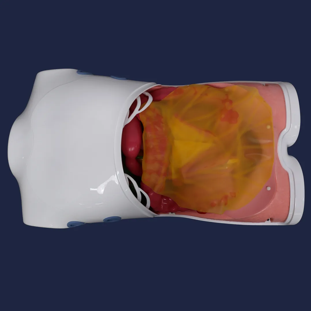 training model for laparoscopic surgery robot type a manufacturer