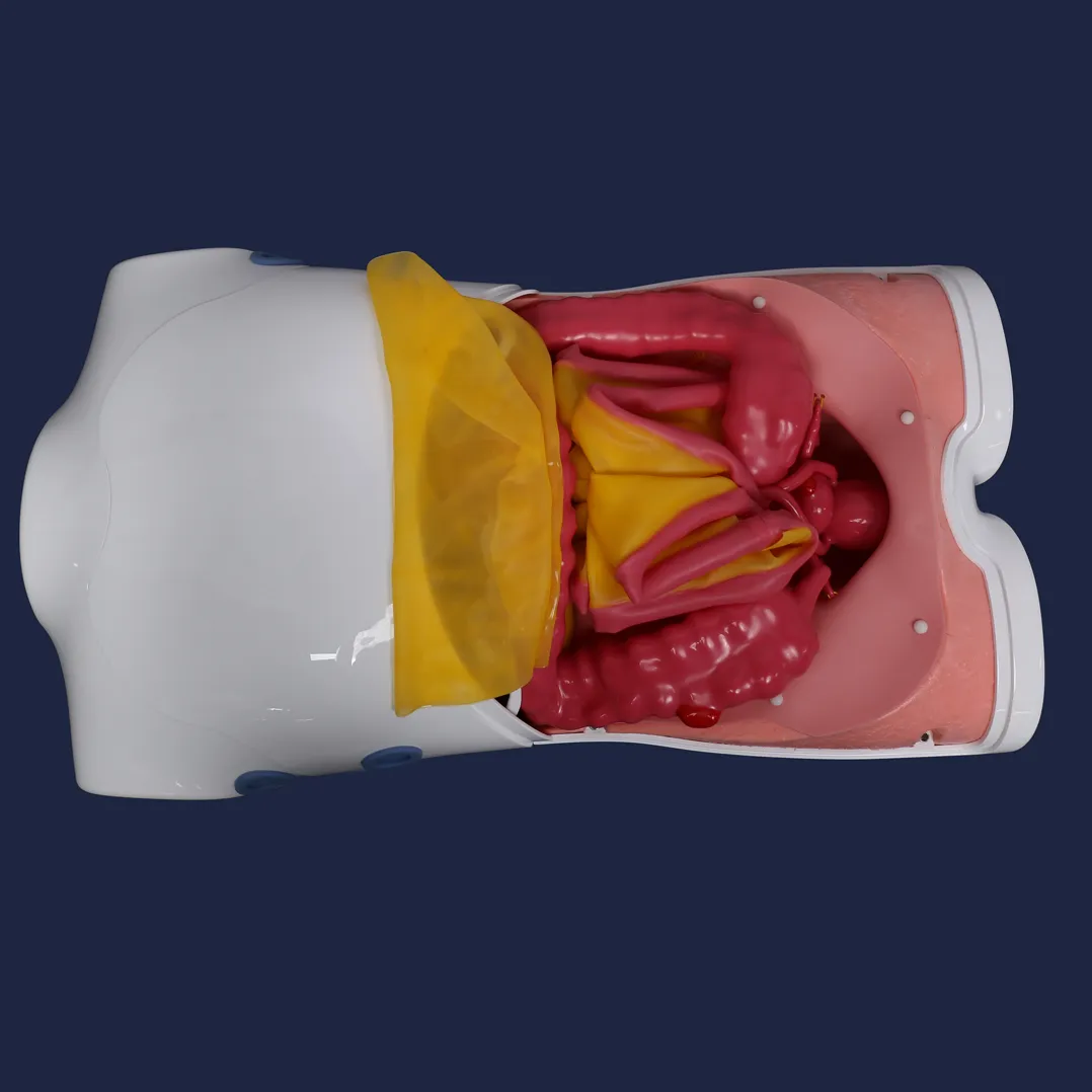 training model for laparoscopic surgery robot type a supplier