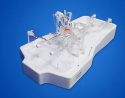 Atrial septal puncture operation training model-B (Dynamic version, including replaceable atrial septal puncture film)