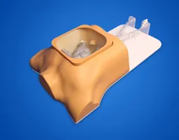 Ultrasound Cardiac Training Model