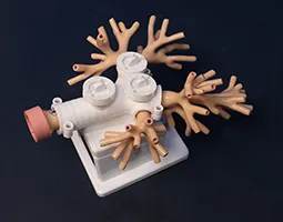 Bronchial Treatment Module