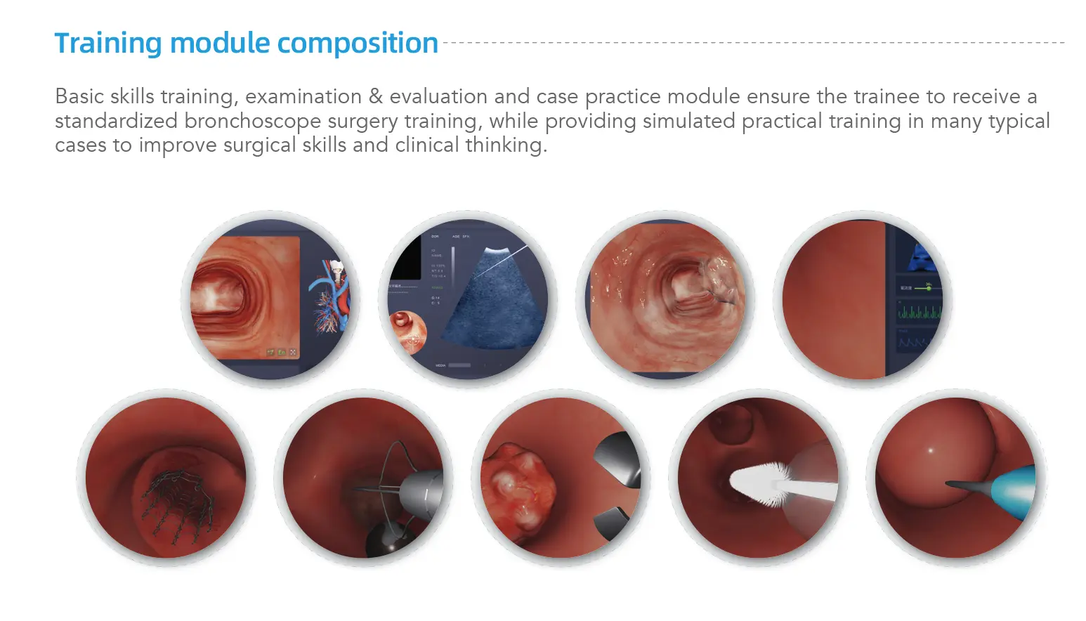 IPSIM Virtual and Real Bronchoscopy Simulator