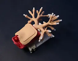 Tracheotomy Training Module