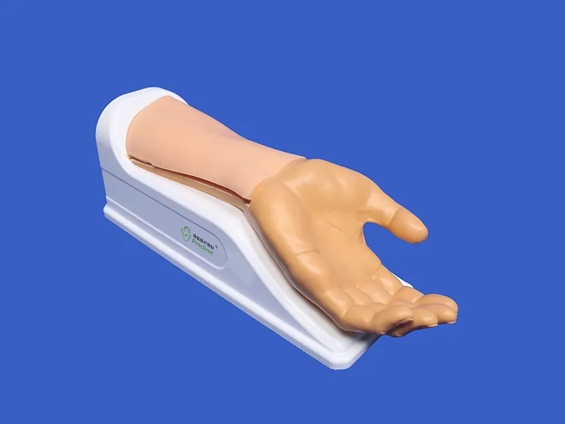 Radial Artery Puncture Operation Model (Ultrasound-Guided)
