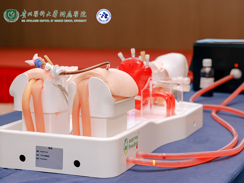 The First ECMO Nursing Academic Conference in Guizhou Province