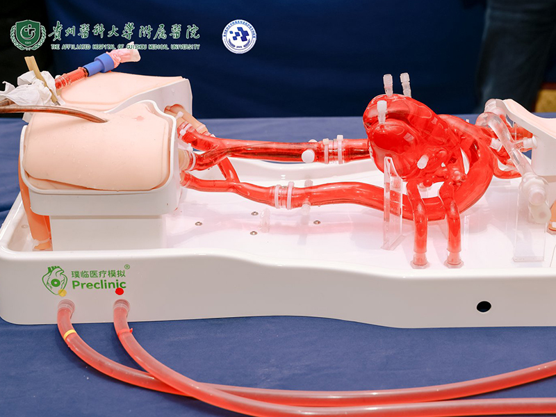 The First ECMO Nursing Academic Conference in Guizhou Province