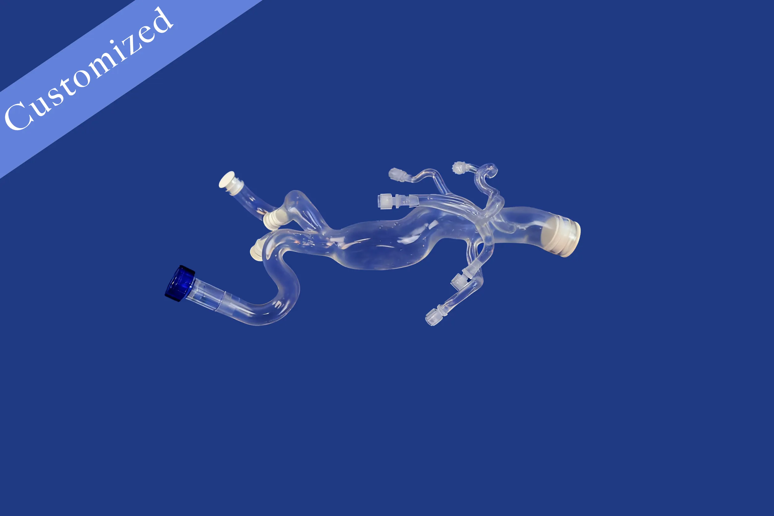 Customized Vascular Model