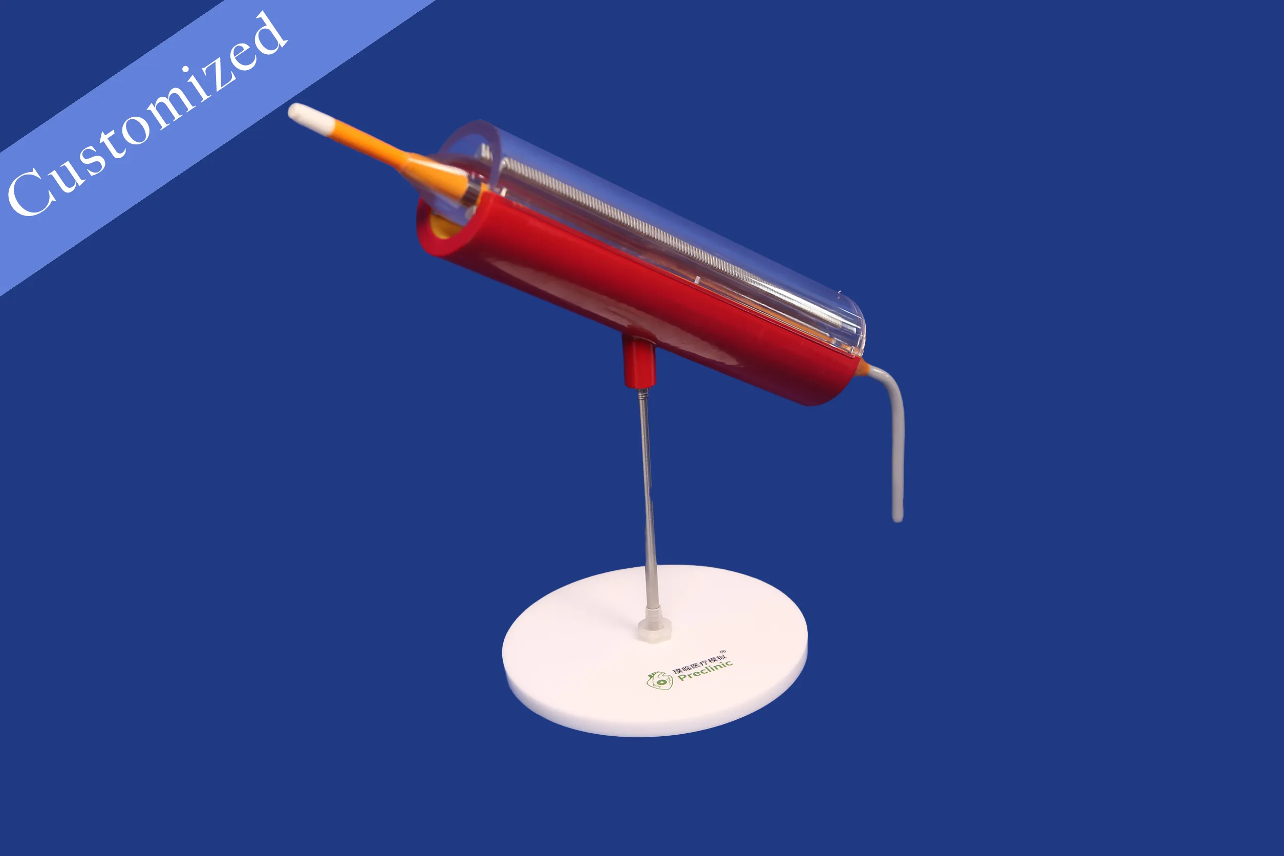 Customized Display Model