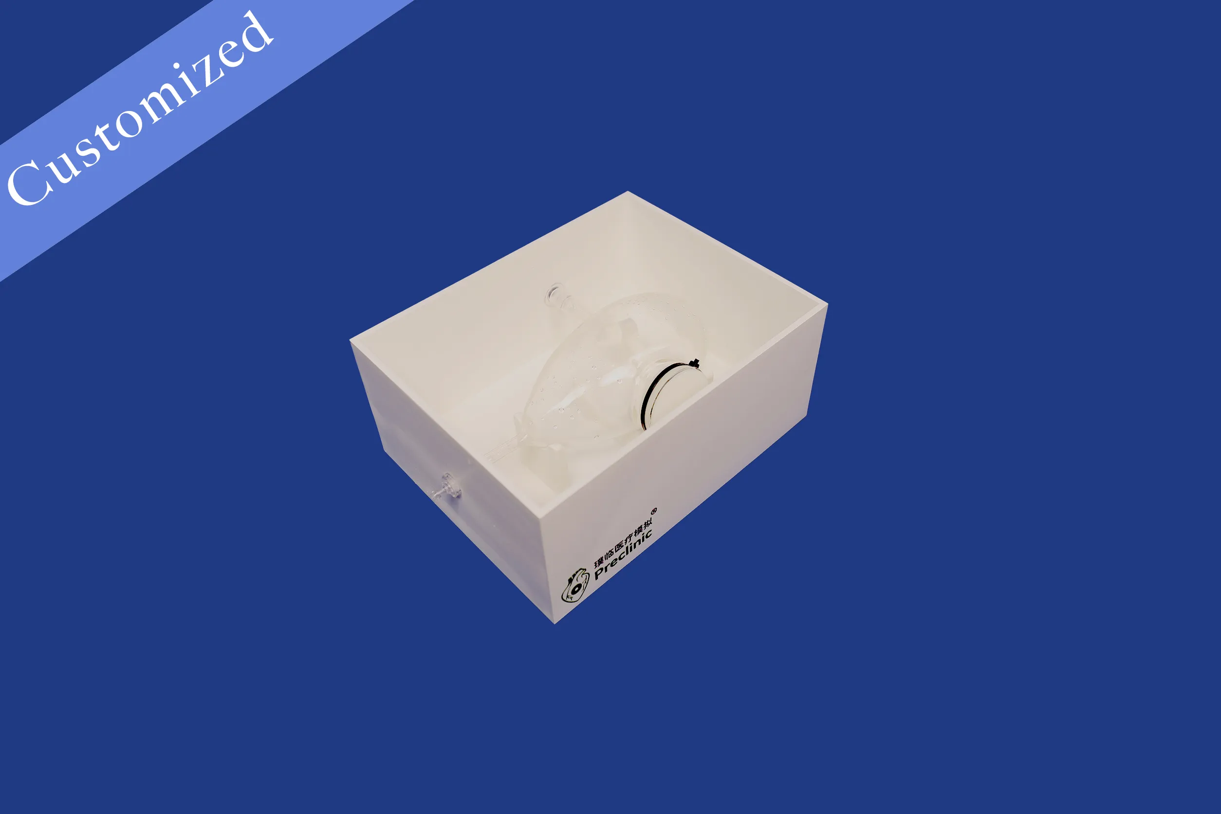 Other Customized Models