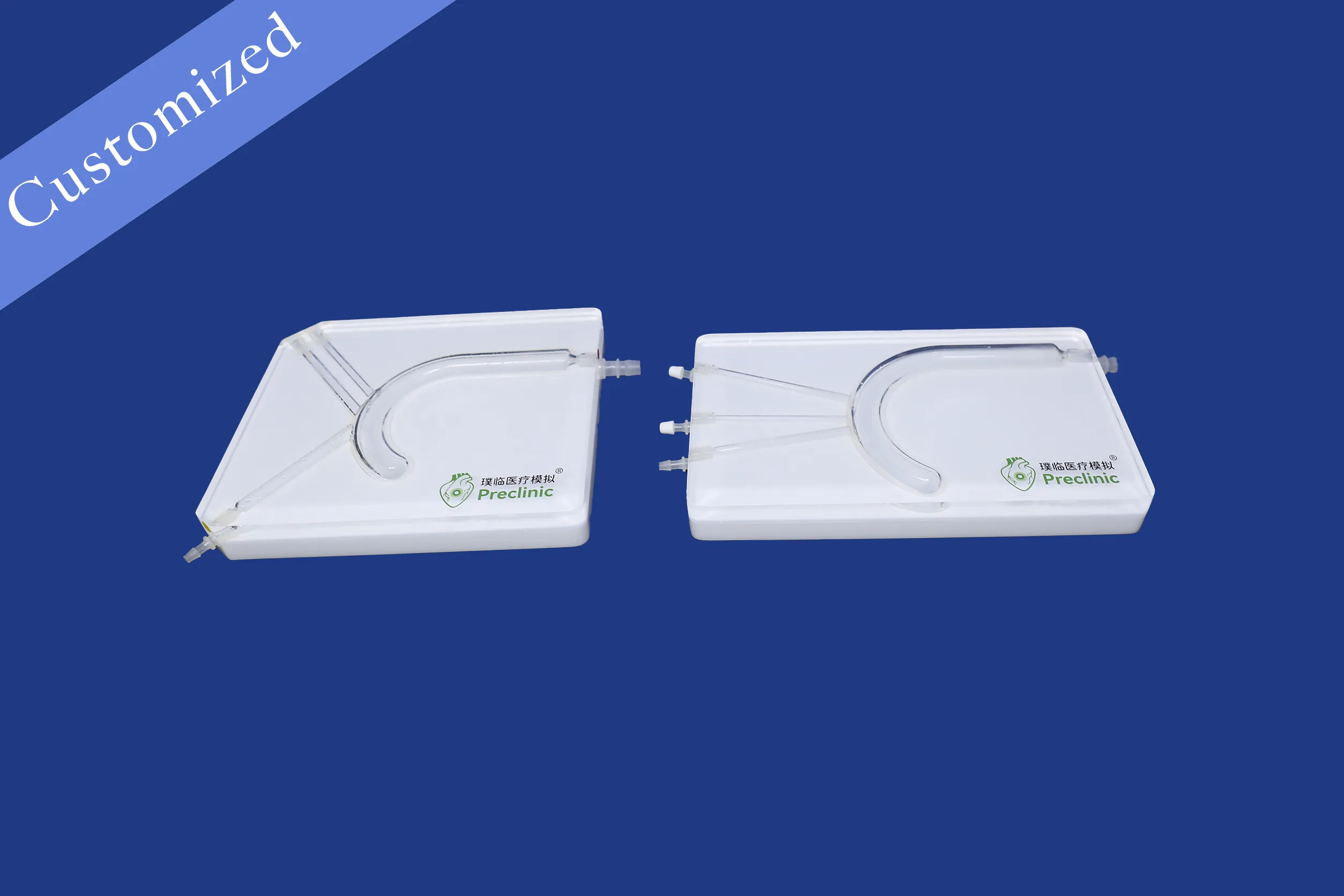 Customized Vascular Model