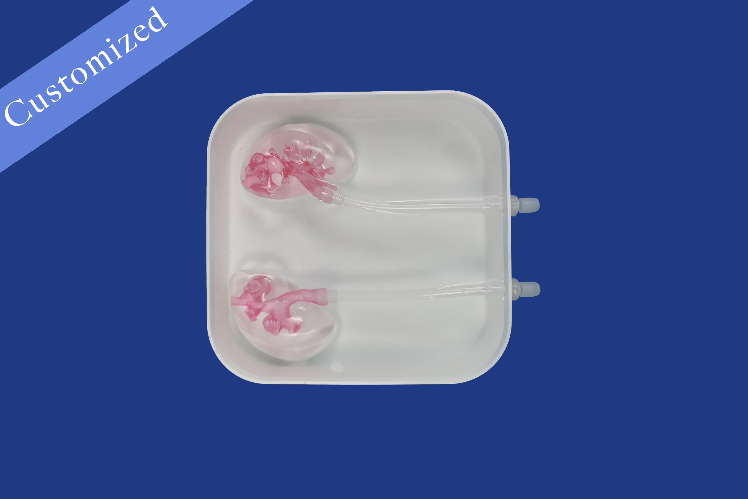 Customized Urology Model