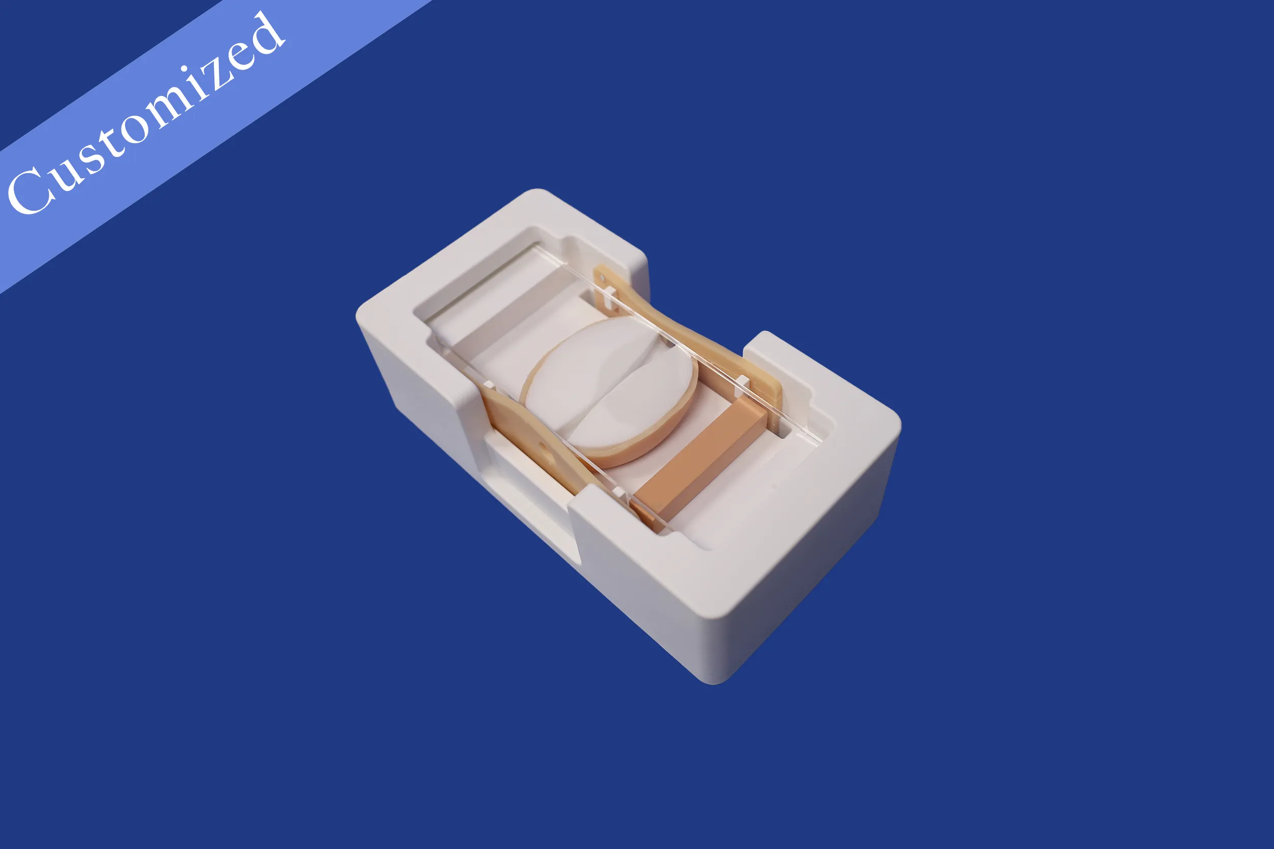 Customized Urology Model