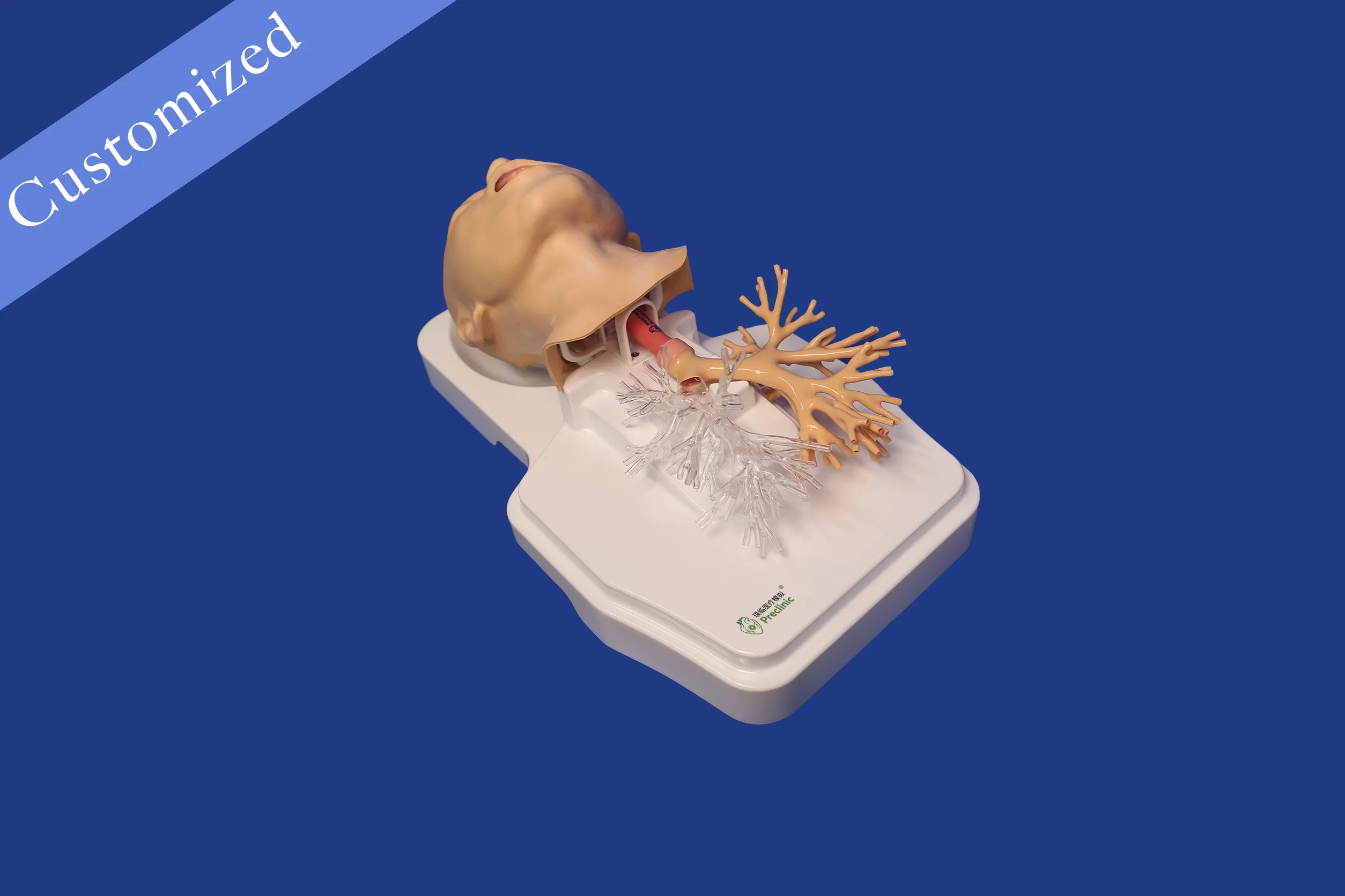 Respiratory Category