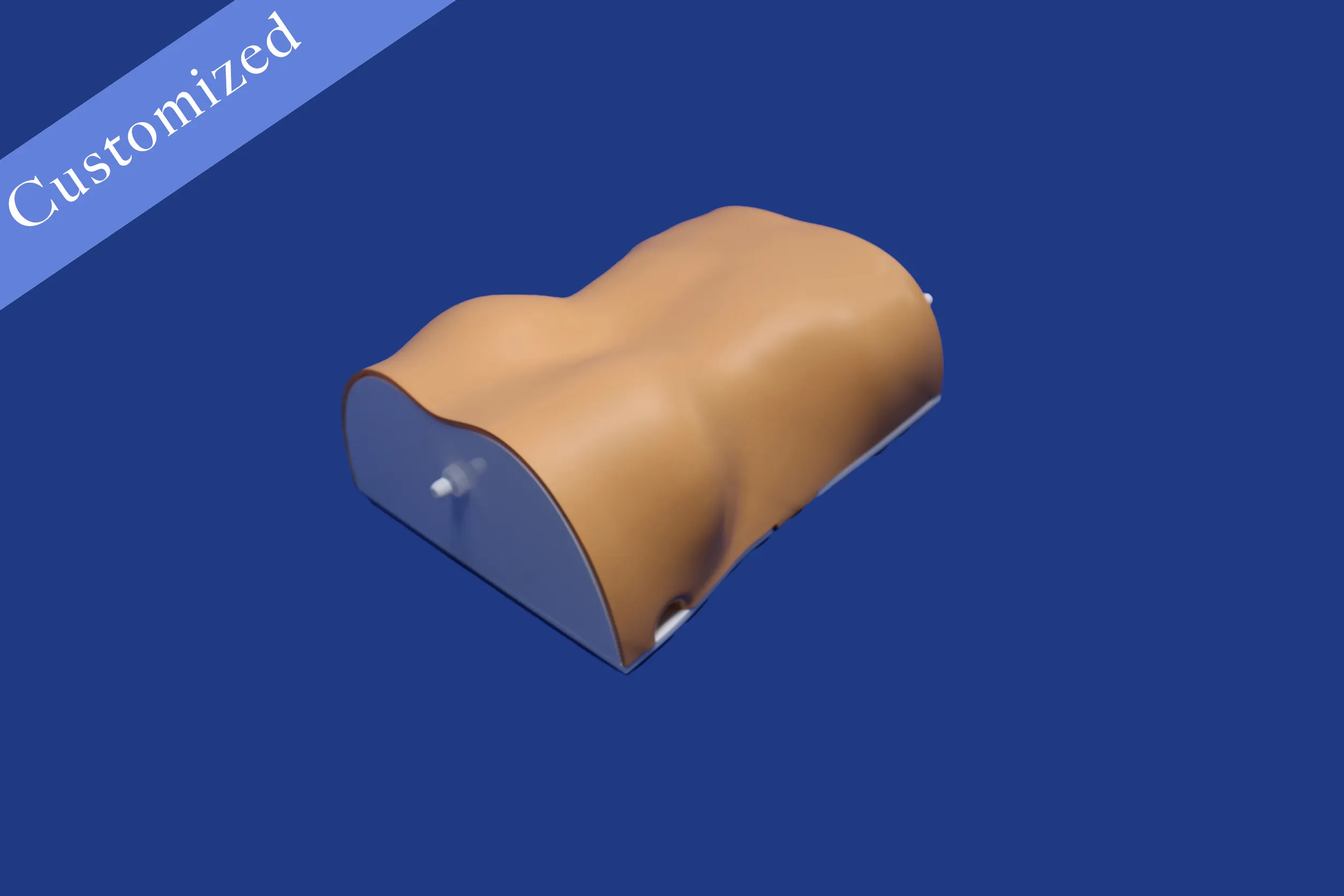 Customized Urology Model