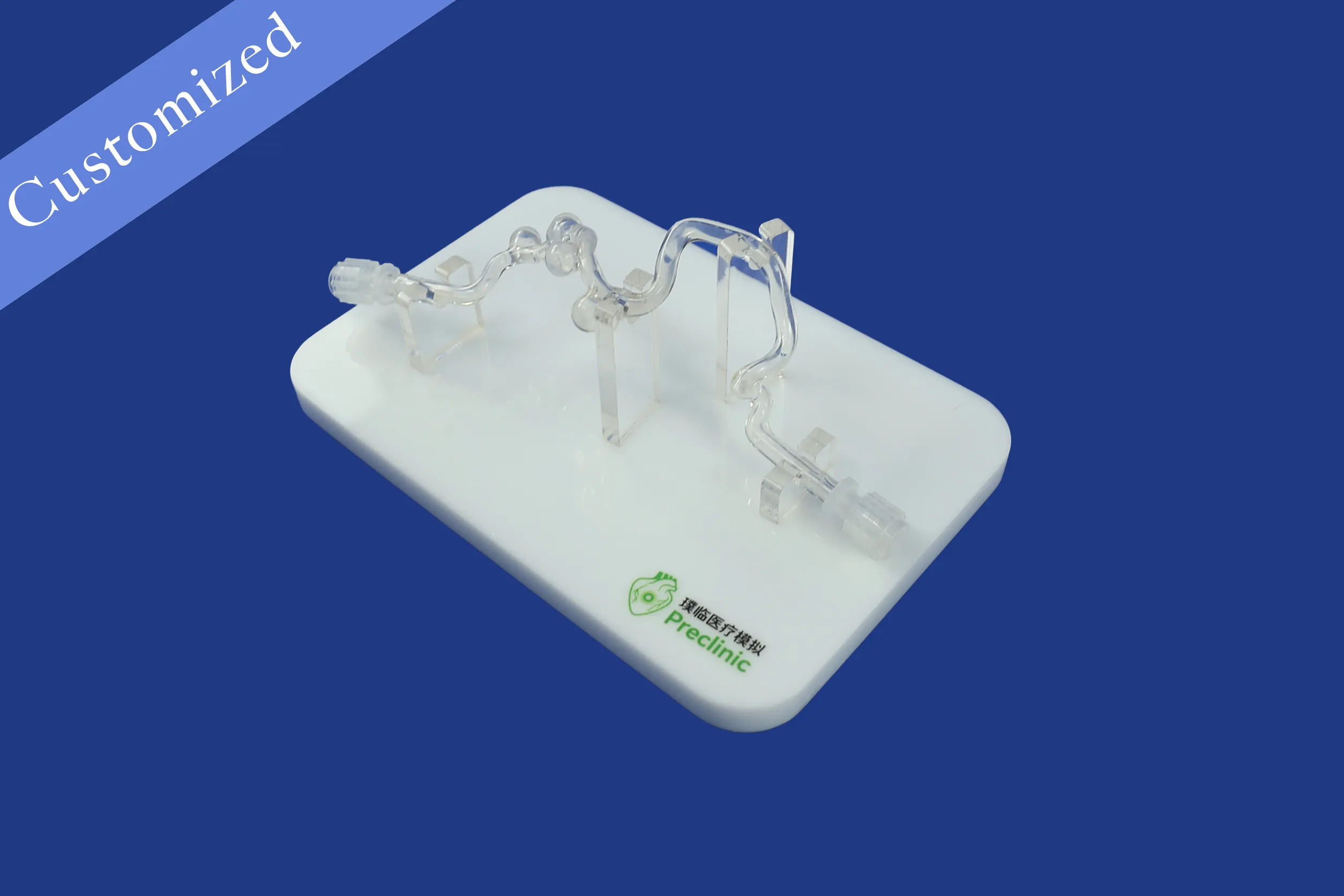 Customized Vascular Model